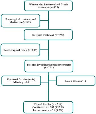 Factors Associated With Persistent Urinary Incontinence Among Women Undergoing Female Genital Fistula Surgery in the Democratic Republic of Congo From 2017 to 2019